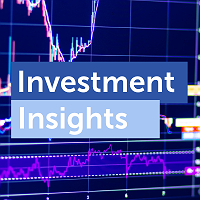 Investment Insights 2025